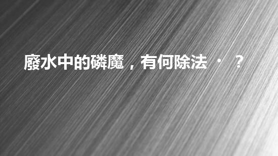 廢水中的磷魔，有何除法？